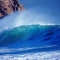 OceanImage's profile image