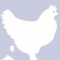 smandarich's profile image
