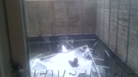 Winter Snowfall