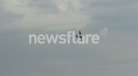 Beach Fly-By at the Folkestone Air-show