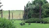 Cor Compagnie Carabosse Set Up Fire Gardens In Campbell Park