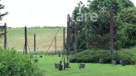 Cor Compagnie Carabosse Set Up Fire Gardens In Campbell Park
