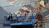 See No Evil 2012 - Nychos [Wed]