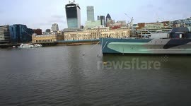 Dead Fox skined and dumped in the River thames London near the HMS Belfast