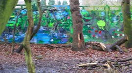 woodland graffiti , graffiti used to blend in an old perimater fence in a london woodland