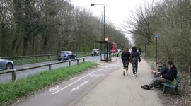 Hampstead Heath Timelapse 01