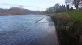 River Wear Burst its banks Feb 2014