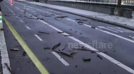 Waves and destruction on the Basque coast-Oleaje y destruccion en la costa vasca