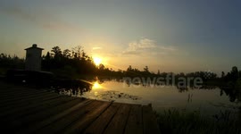 Sunrise in a Swamp (Timelapse)