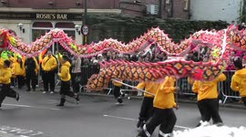 Dragon Dance - Chinese New Year