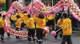 Chinese New Year Celebrations 2014