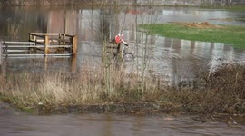 Cyclists takes the plunge as the swollen River Usk bursts its banks at Abergavenny