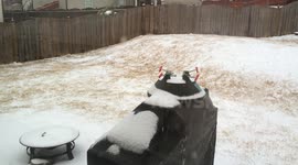 Georgia Snow Jam 2.0 - Day 2