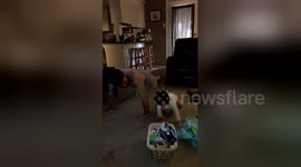 Newsflare Edit - Dad teaches son how to do press-ups... fails