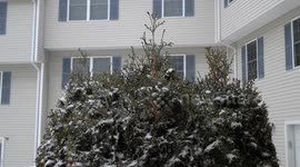 Snow in New England with Plow Truck