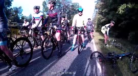 Dog crossing road causes massive cycling crash
