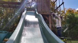Cute Puppy Flies Down Slide