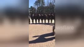 Soldiers help comrade propose to girlfriend