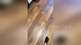 Newsflare Edit - I need to wash the floor!