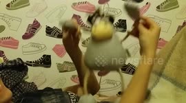 dancing cow