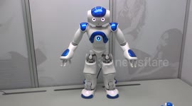 Cute little robot interacts with public