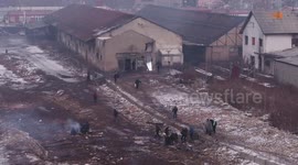 Hundreds of freezing refugees and migrants wait for food in Belgrade - drone video