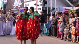Strawberry festival celebrations in Thailand