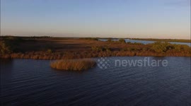 Florida Swamp land SWFL