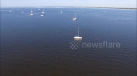 flying over the harbor