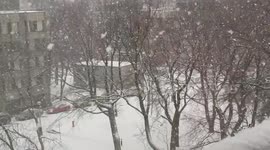 Fat Flurries in Toronto
