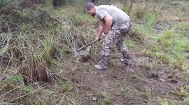 Crazy man grabs a fox to remove it from trap, (fox was not harmed)