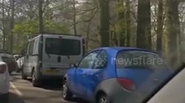 Eyewitness video of the car fire in the lion enclosure at Longleat