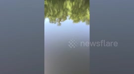 Scots Angler Managed To Reel In 6ft-Long Alligator On Fishing Trip