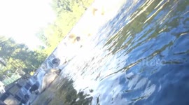 Adv - Puntledge BC 1,000's of Salmon River Float 2015.08