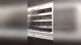 Newsflare Edit - Fire breaks out in Disney parking lot