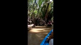 Trip down Mekong River