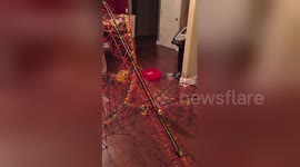 Newsflare Edit - Roller coaster designed and built by my 11 year old son