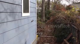 This couple's secret door to their house is amazing