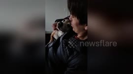 Newsflare Edit - Ferocious Dog Actually Just Wants To Show Affection
