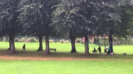 When you're the favourite and get special treatment