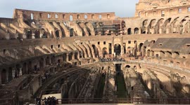 Pigeons brawl it out like Gladiators of old at the Colosseum, Rome