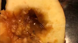 Boy bites into apple and find something disgusting!