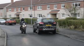 Adorable rescue dog goes on motorbike rides dressed in full leather