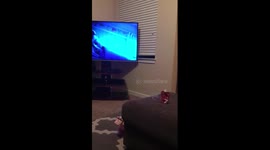 Most contagious toddler laugh ever!