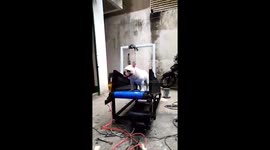 Cute dog walking on the treadmill
