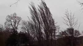 Storm in Toulouse!  12 février 2017!