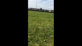 Whippet vs rc nittro