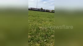 Newsflare Edit - Whippet vs rc nittro