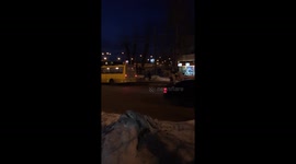 Unlawful road crossing with two horses
