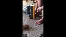 hairs stucked in vacuum
